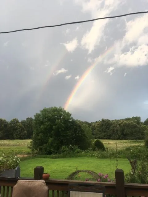 Double rainbow arches over a green field and trees under a cloudy sky.